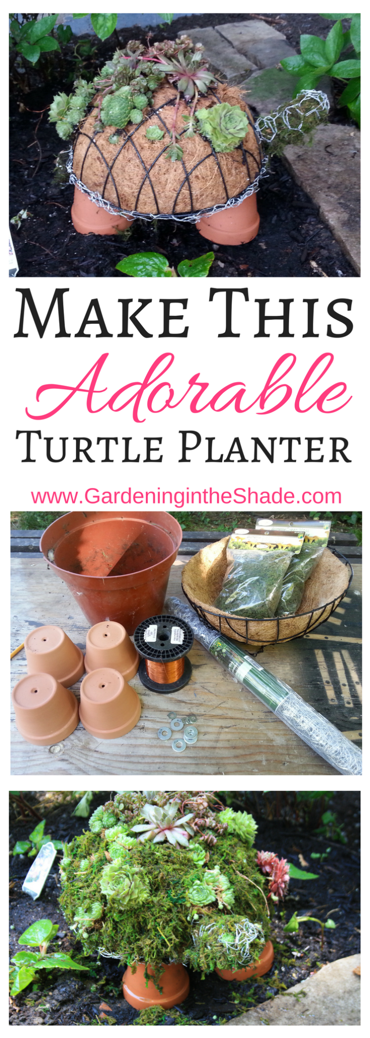 See how easy it is to make this turtle succulent planter for your garden!