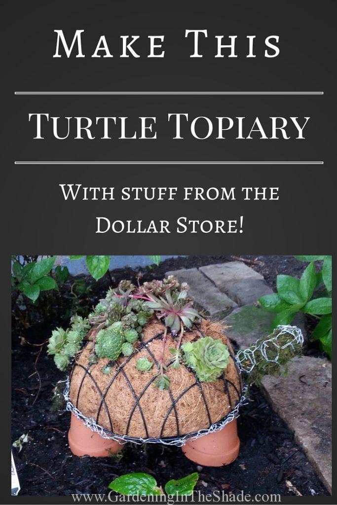 How to Make A Succulent Turtle Topiary - The Salty Knitter
