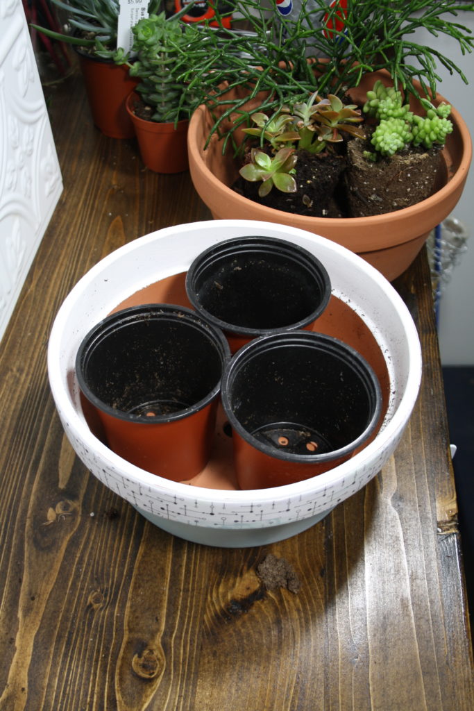Place empty pots in planter as space holders