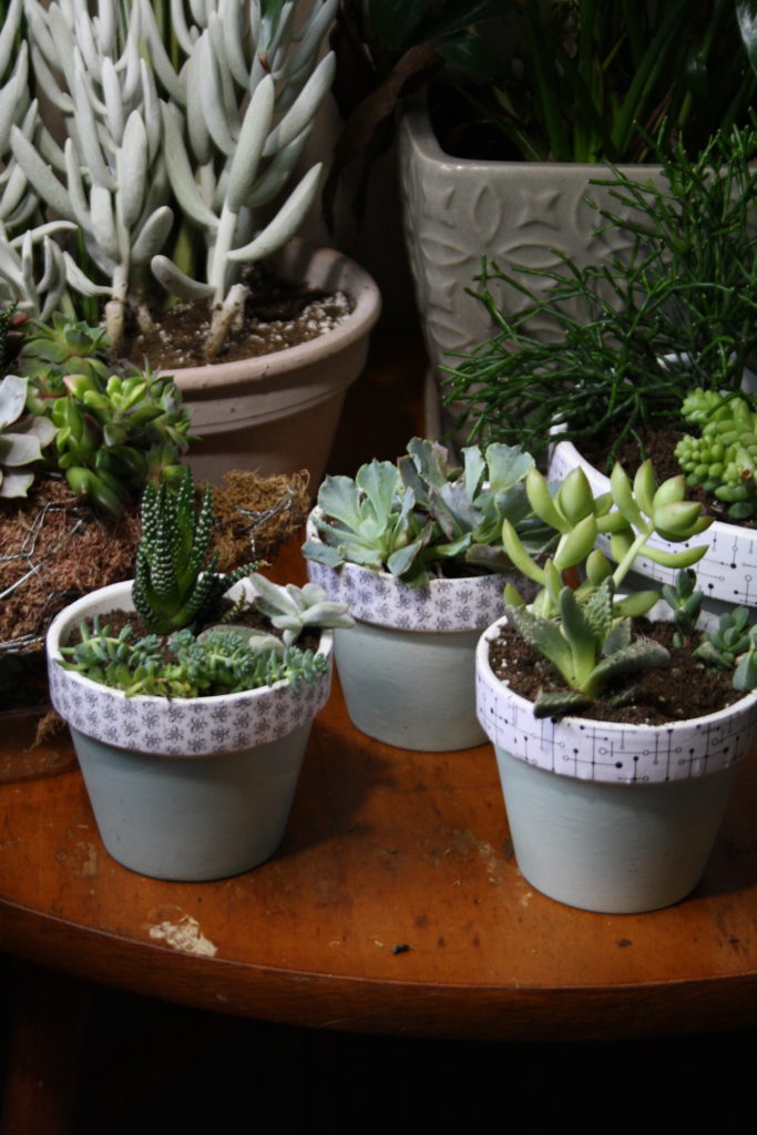 these little pots make me happy