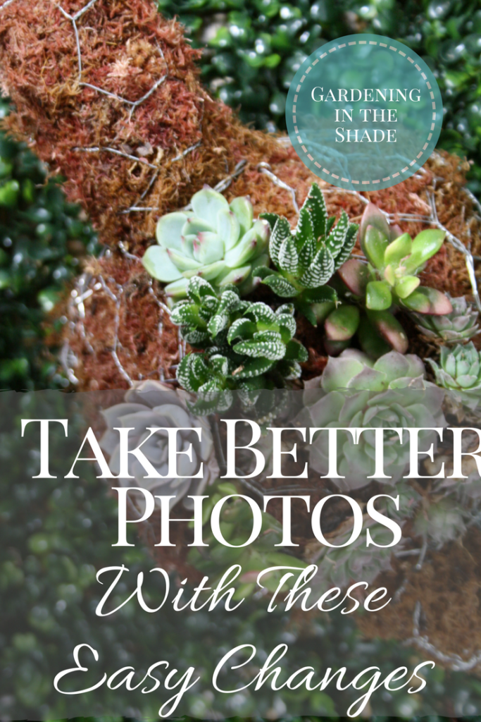 Make these easy changes for better photos!