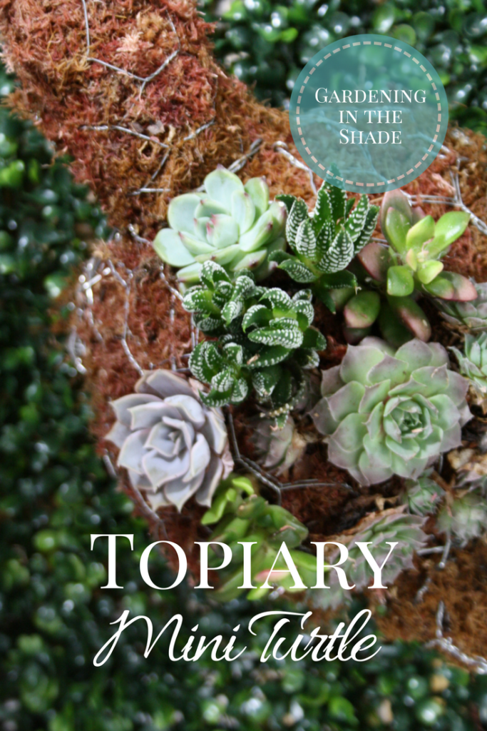 Topiary Mini Turtle