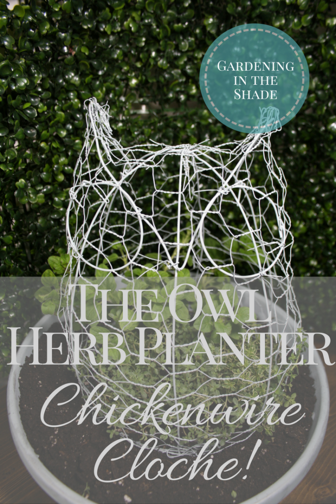 Owl Herb Planter