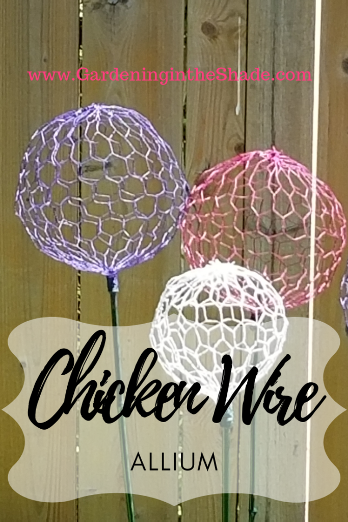 Chicken Wire Allium