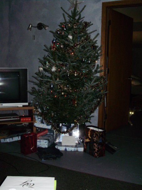 Christmas tree and oddly placed light fixture and switch.